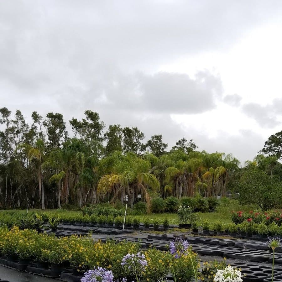 Merritt Island Nursery