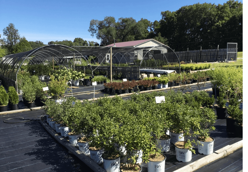 Middle Creek Nursery
