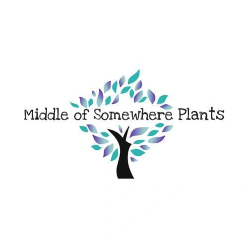 Middle of Somewhere