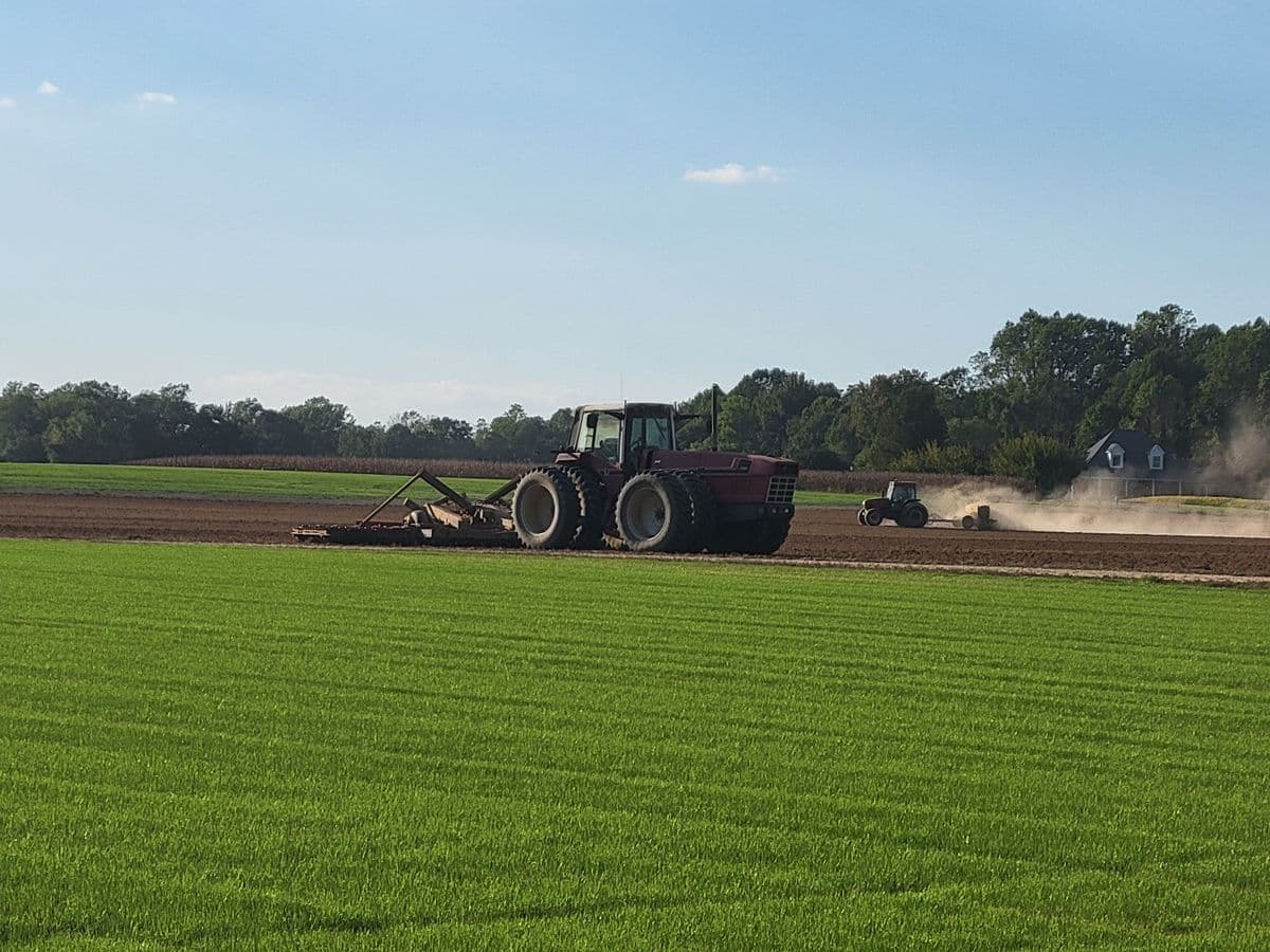 Middleton Manor Farms Inc