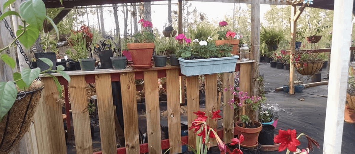 Mike's Family Nursery