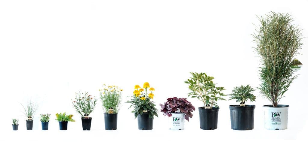 Millcreek Gardens LLC