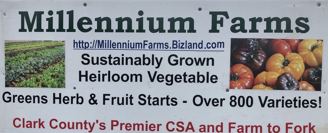 Millennium Farms