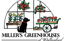 Miller Greenhouses of Wallingford