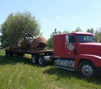 Miller Nursery & Tree Co