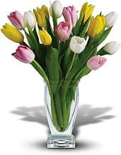 Mioux Florist & Greenhouse