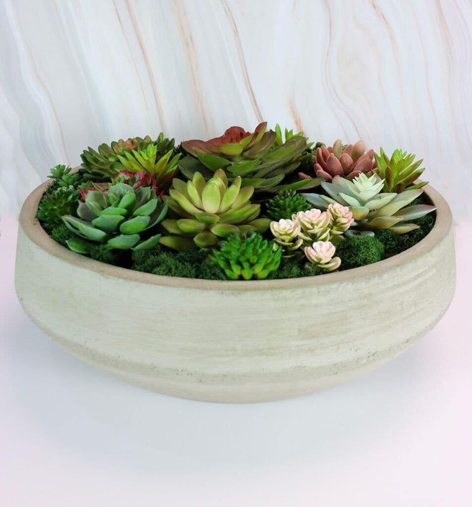 Modern Nature Nursery