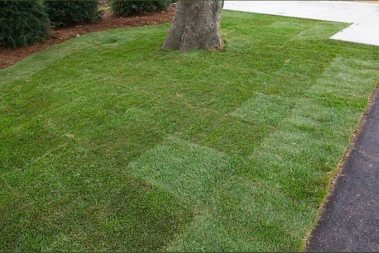 Monmouth Sod llc Installation & Supplier