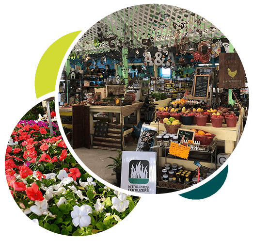 Montgomery Nursery and Garden Center