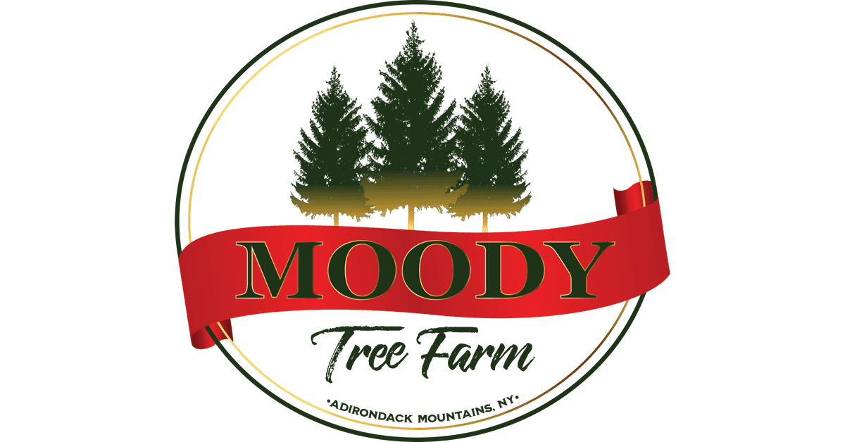 Moody Tree Farm