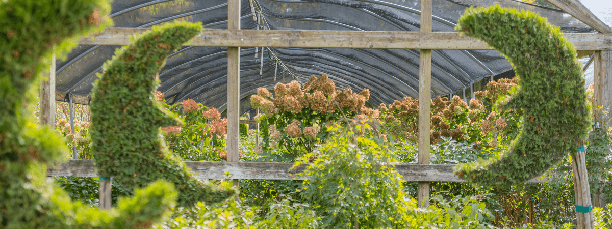 Moon Valley Nurseries - Franklin | Nashville