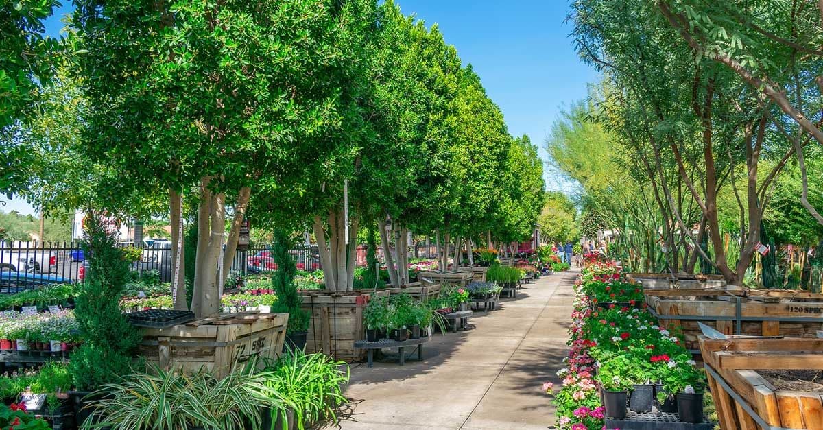 Moon Valley Nurseries