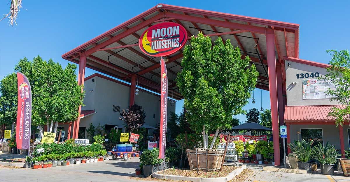 Moon Valley Nursery Corporate Offices