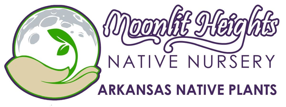 Moonlit Heights Native Nursery