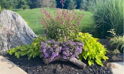 Moose & Squirrel Horticultural Resources