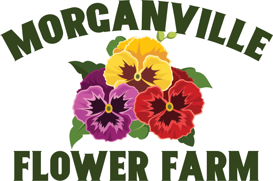 Morganville Flower Farm