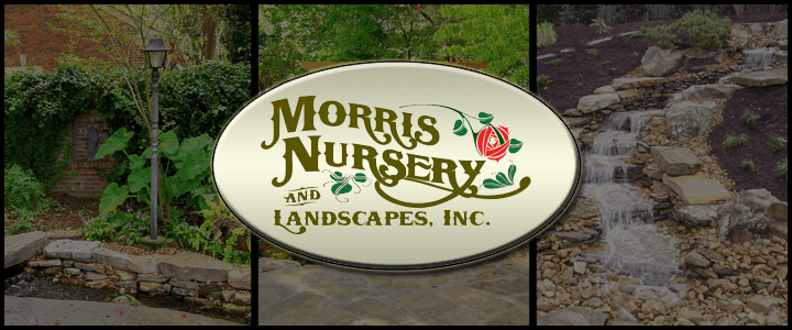Morris Nursery and Landscapes, Inc.