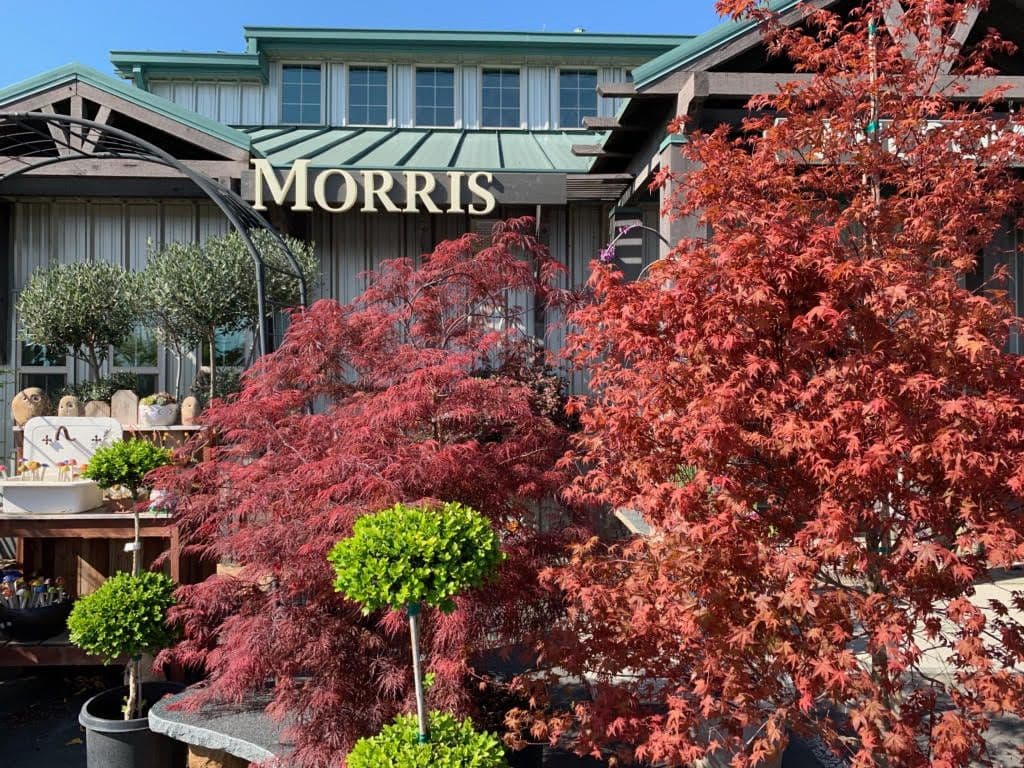 Morris Nursery