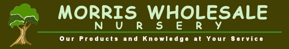 Morris Wholesale Nursery