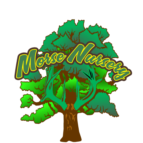Morse Nursery - Indiana