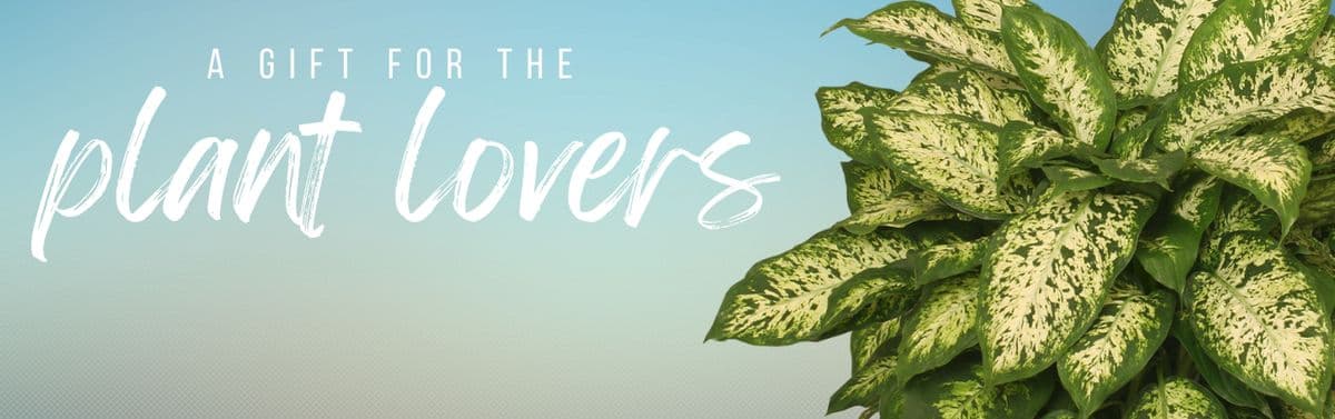 Moss Bluff Florist & Gift