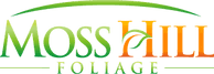 Moss Hill Foliage Inc