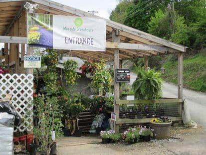 Mosside Greenhouse