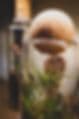 MossLife LLC