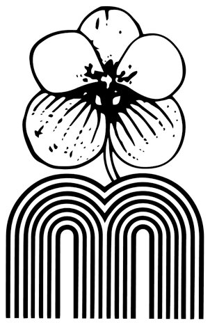Motes Orchids