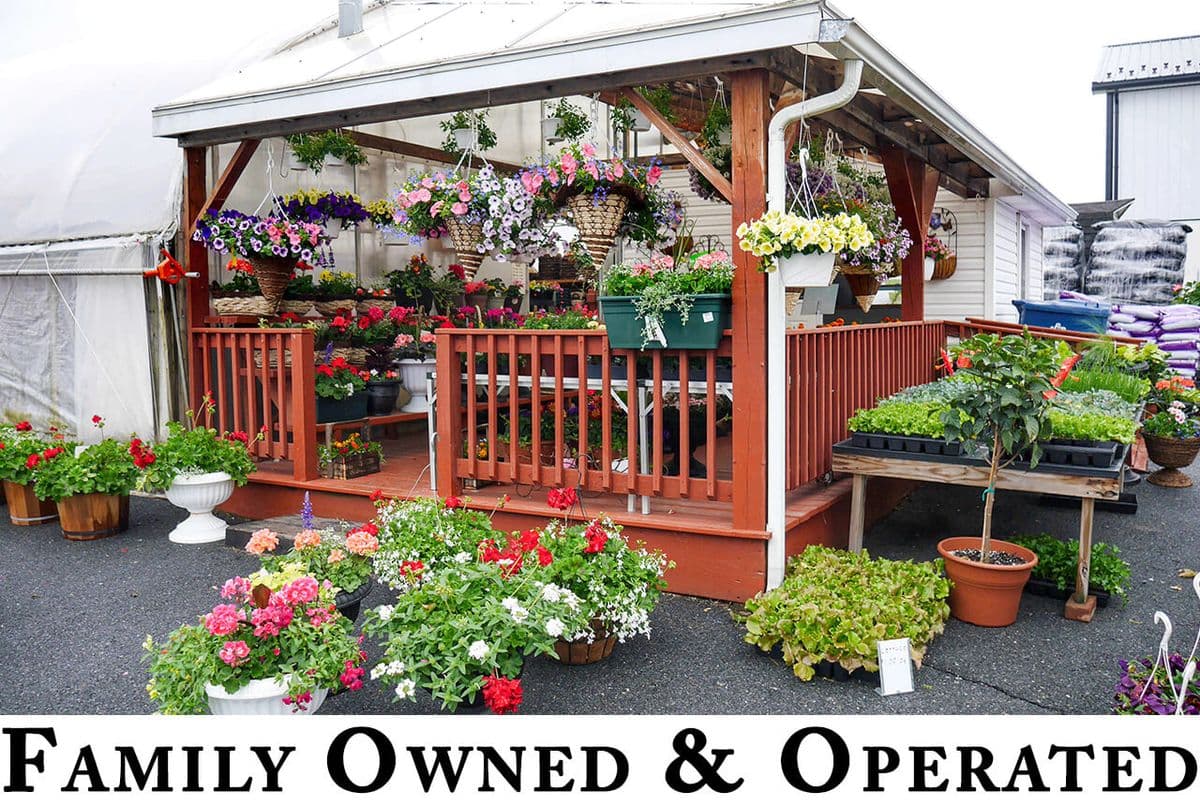 Mount Joy Greenhouse