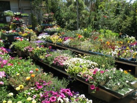 Mountain Gardens Nursery & Pet