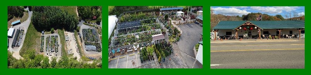 Mountain View Nursery and Landscaping, LLC