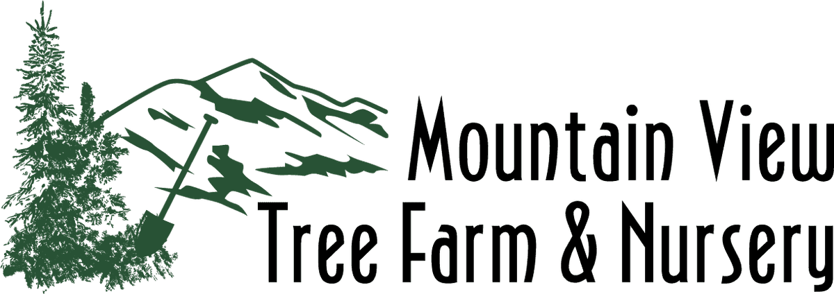 Mountain View Tree Farm & Nursery