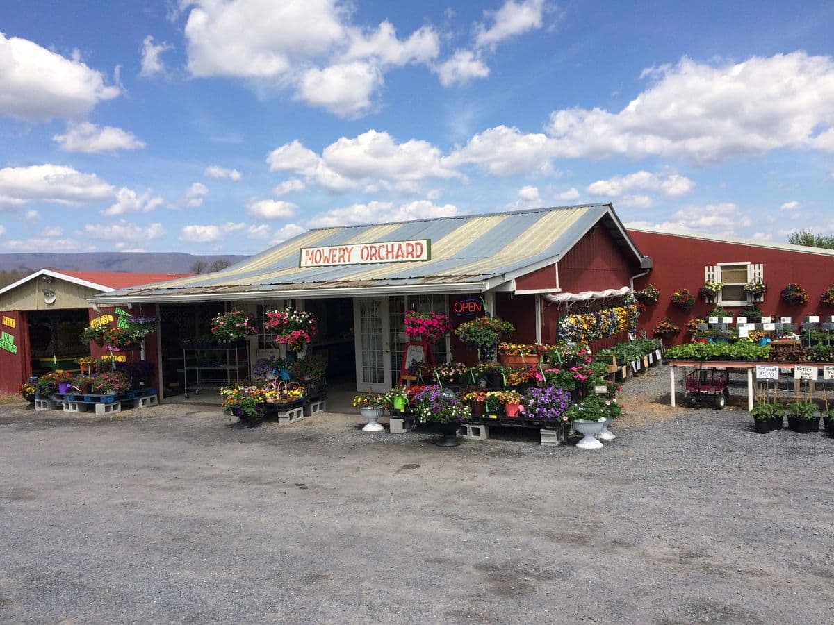 Mowery Orchard