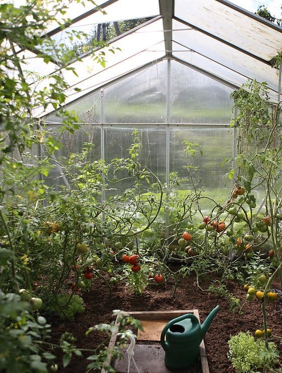 Mr. Greenies Garden Supply