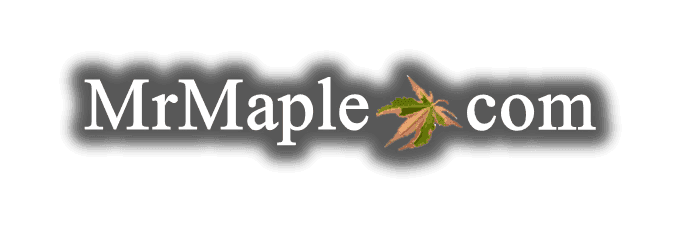 MrMaple.com