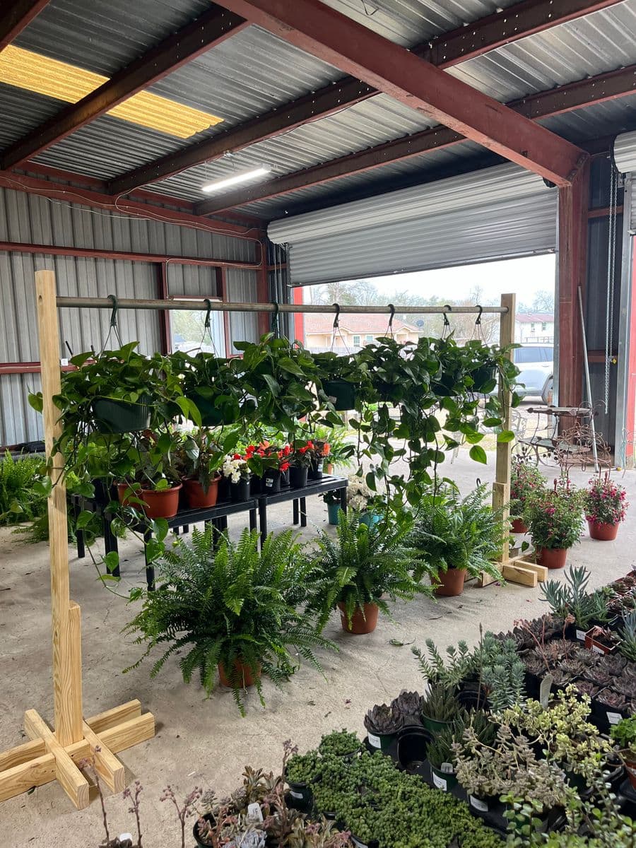 Ms Jo's Plants & Gifts