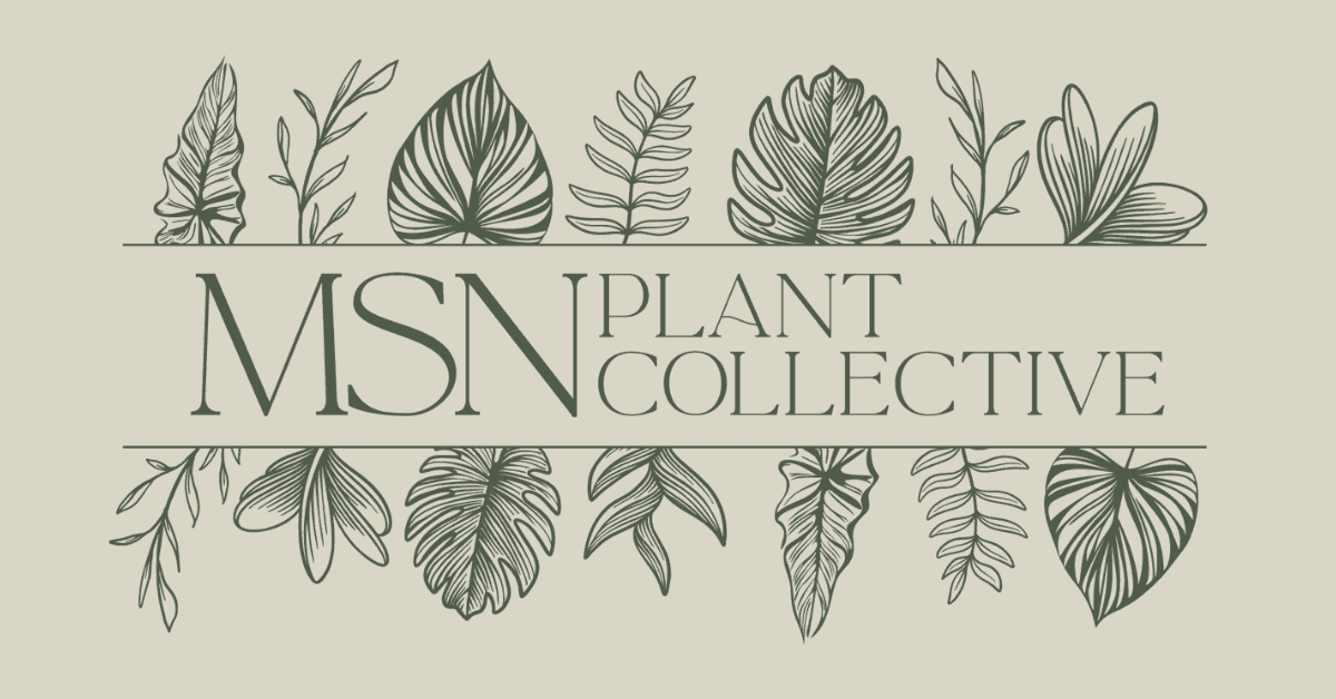 MSN Plant Collective