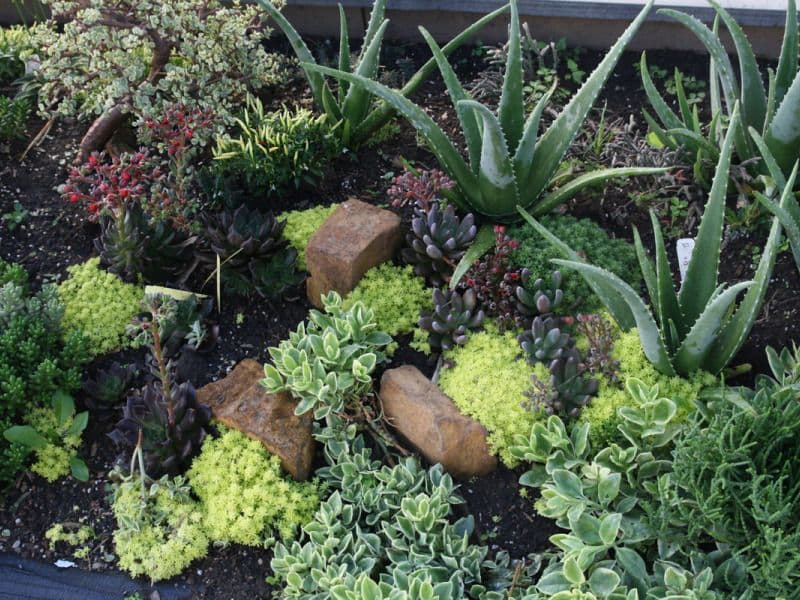 Mulberry Creek HerbFarm LLC