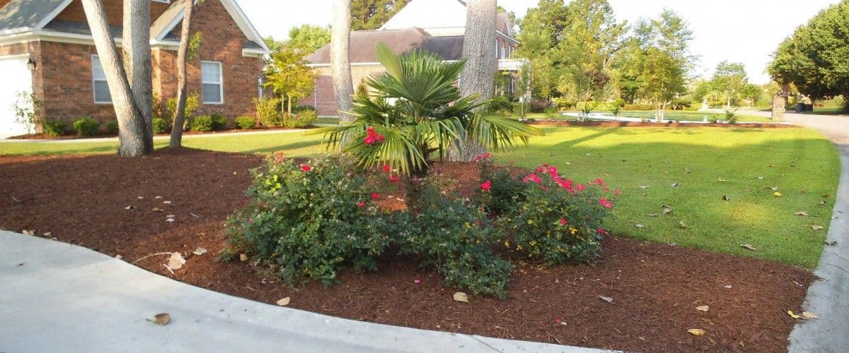 Mulch and More Inc