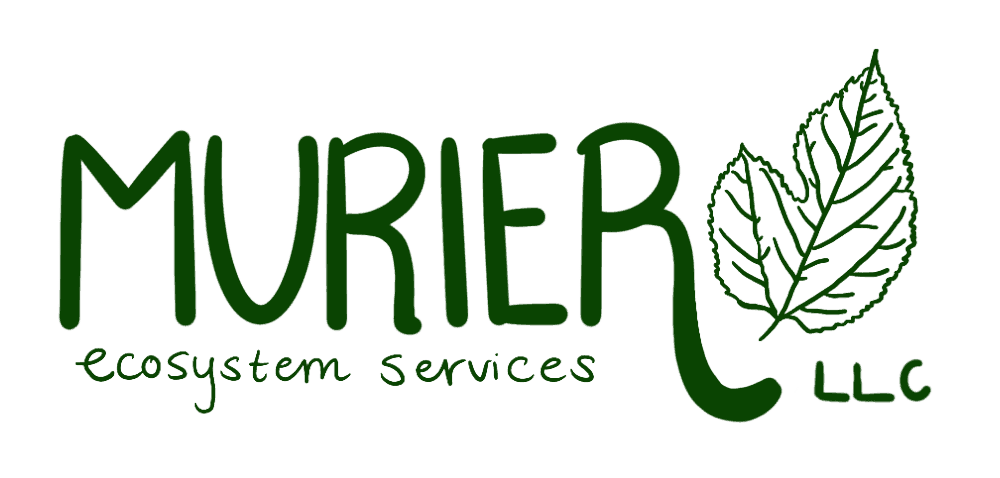 Murier Ecosystem Services