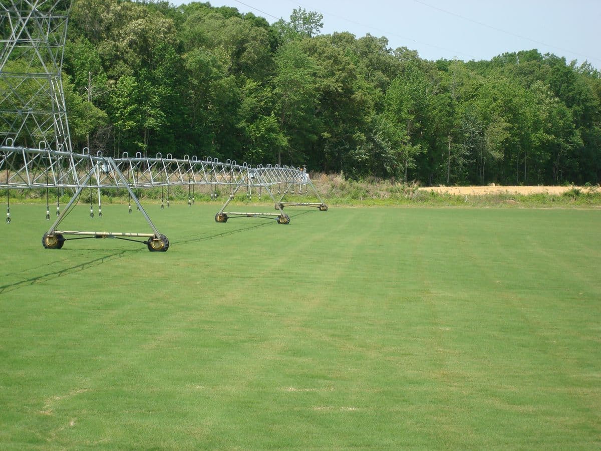Murphy Turf Farms