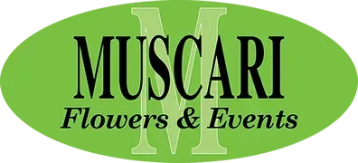 Muscari Flowers & Events