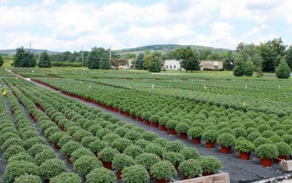Musselman Greenhouses