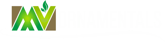 MV ORNAMENTALS