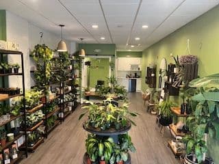 My Green House