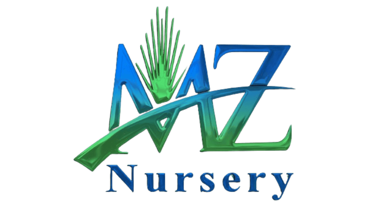 MZ Nursery LLC.