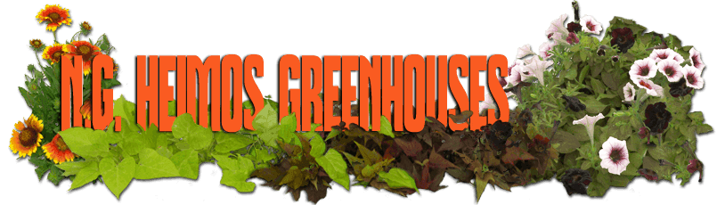 N G Heimos Greenhouses