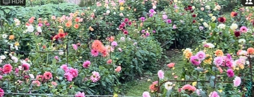 Nanea Gardens Flower Farm