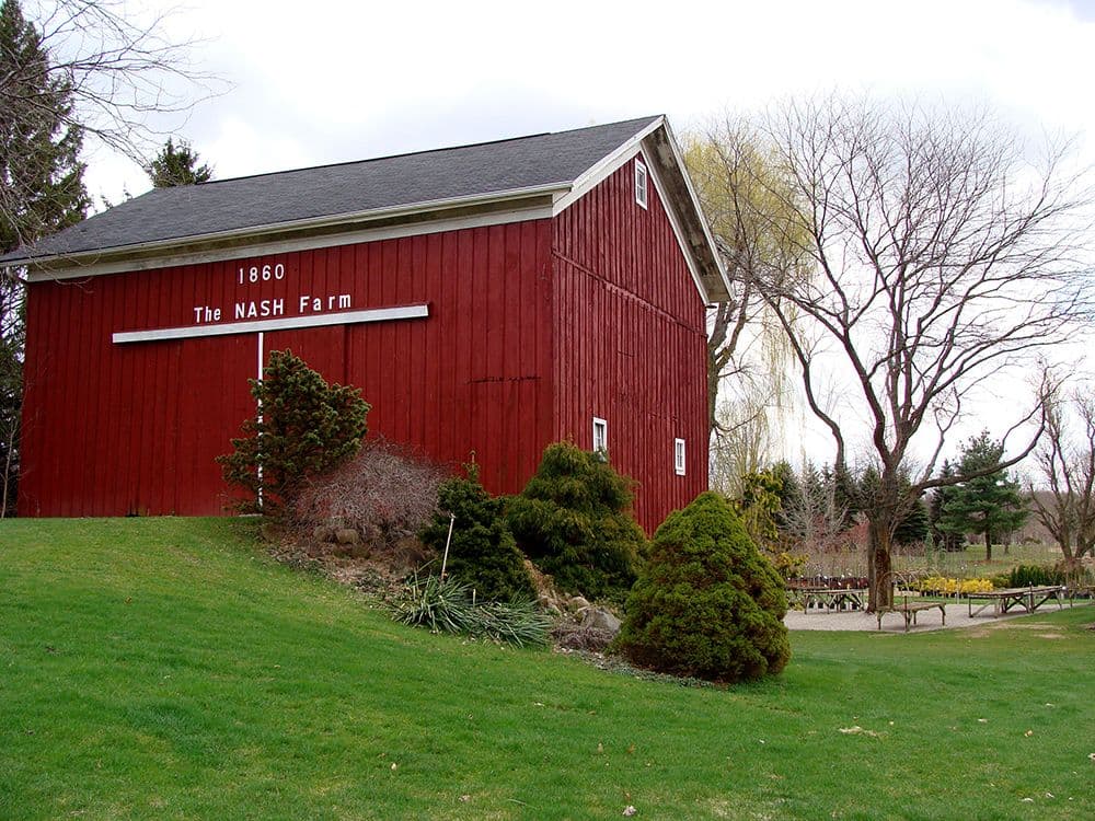 Nash Nurseries
